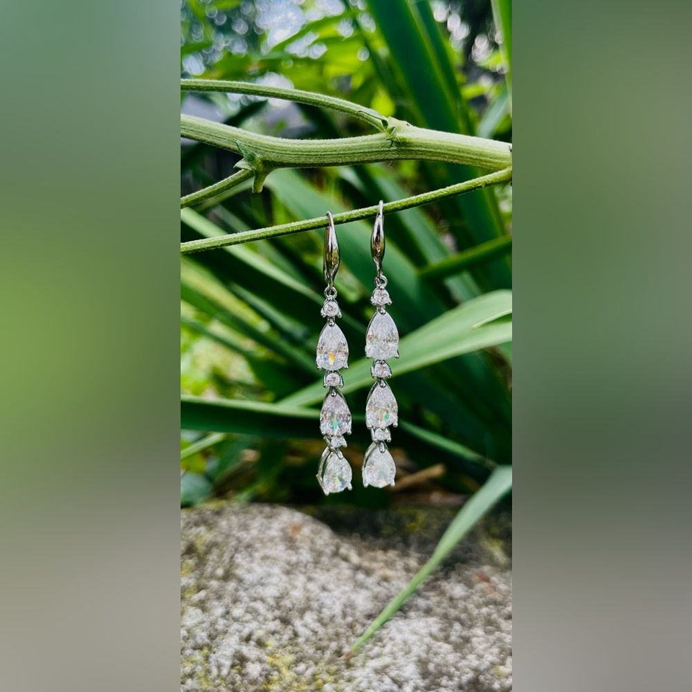 Elegant Silver Drop Earrings